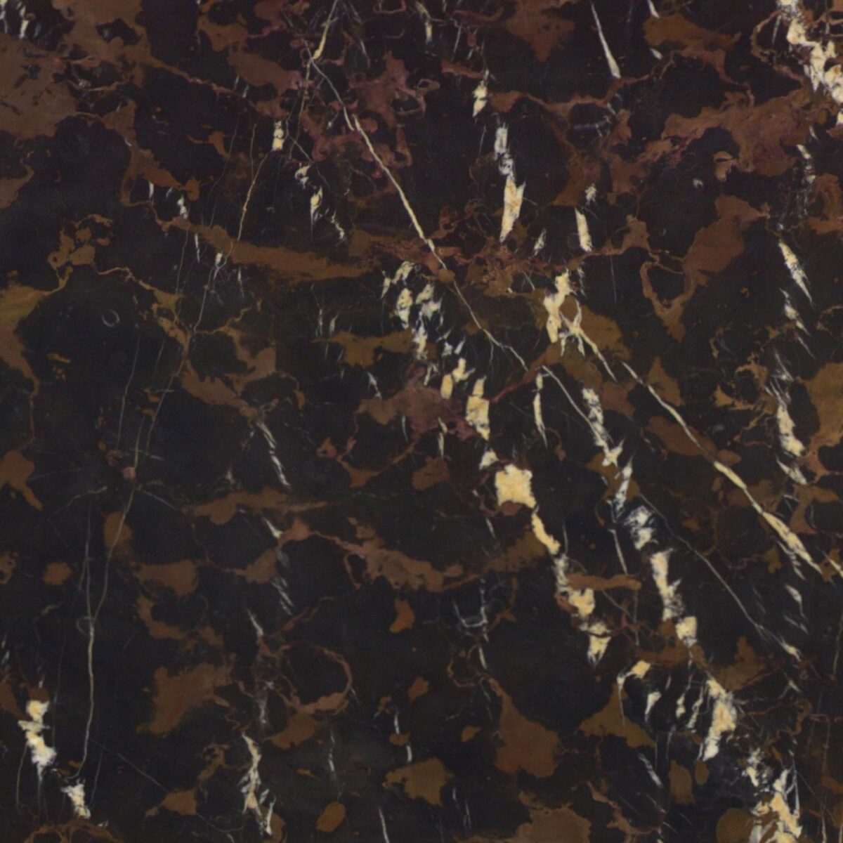 Detail van Black & Gold marmer met bronsbruine en lichte aders